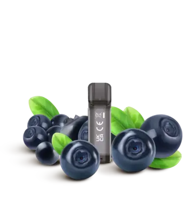 Blueberry
