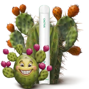 Cactus