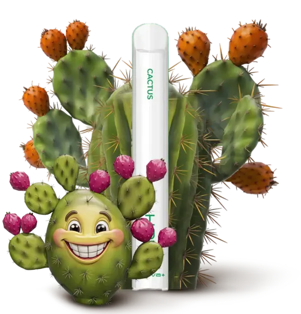 Cactus