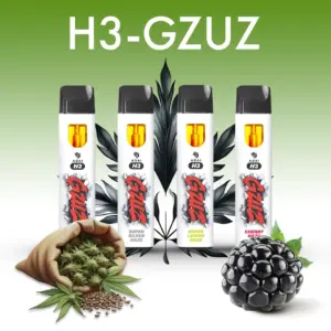 H3-GZUZ