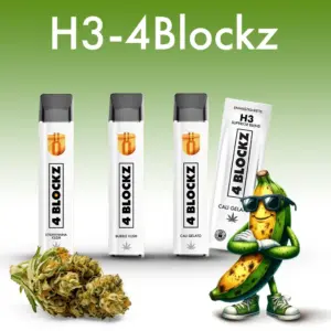 H3-4Blockz