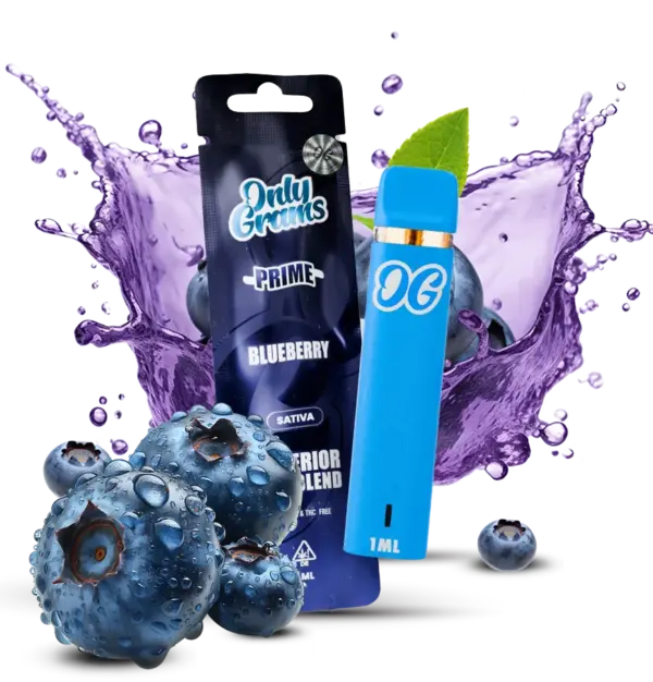 Blueberry
