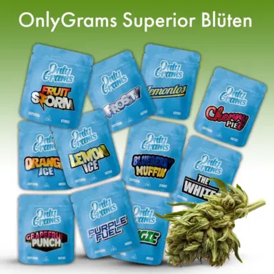OnlyGrams Superior Blüten