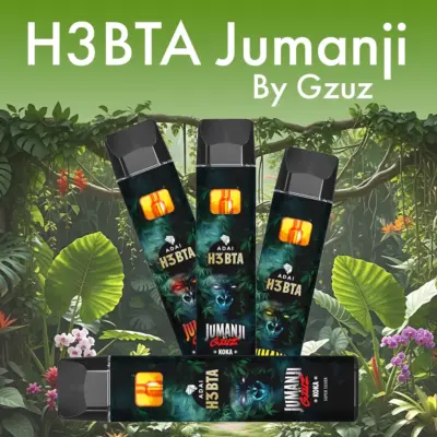 H3BTA Jumanji By Gzuz