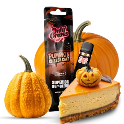 Pumpkin Cheese Cake