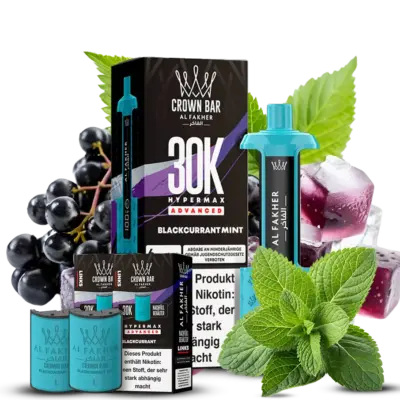 Blackcurrant Mint VE: 10 Pods + 5 Akkus