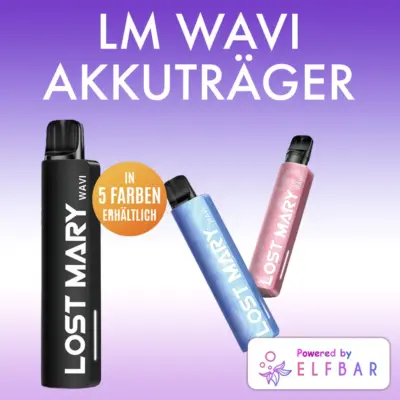LM WAVI Akkuträger