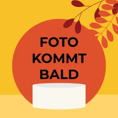 MeM's Matcha Chocolate White Peach Cream VE: 12 x 100g