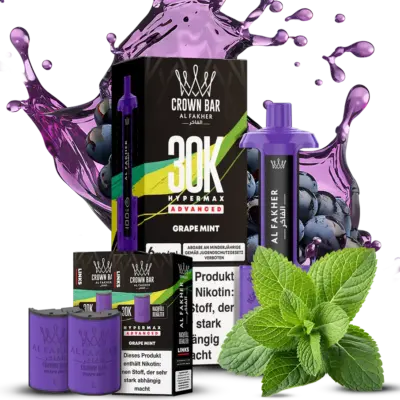 Grape Mint Bundle VE: 10 Pods + 5 Akkus